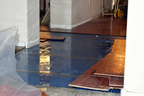 Professional Water Extraction technician working in Kipton, OH